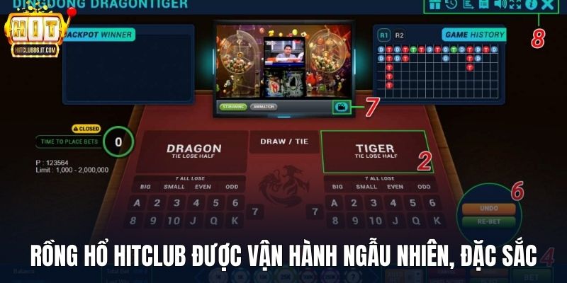 Rồng Hổ HITCLUB được vận hành ngẫu nhiên, đặc sắc