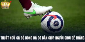 Thuật Ngữ Cá Độ Bóng Đá Cơ Bản Giúp Người Chơi Dễ Thắng